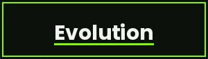 Evolution — desarrollador en Spinit